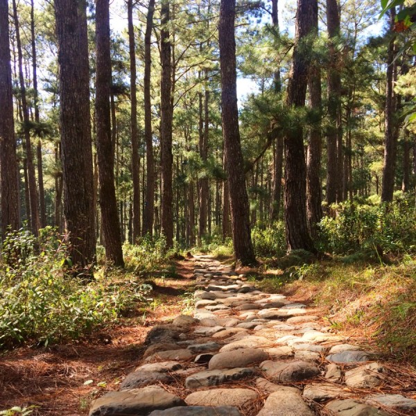 Sagada