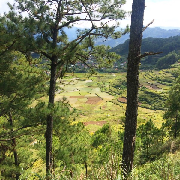 Sagada