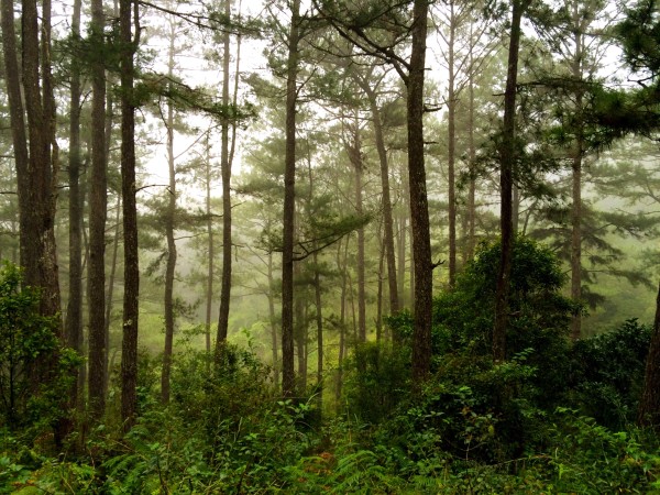 Sagada